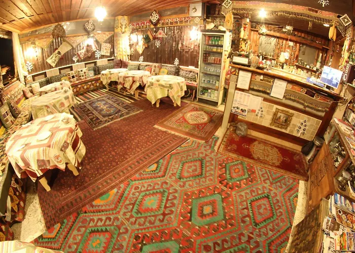 Homeros & Pensiune *