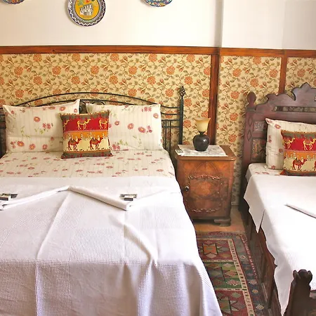 Guest house Homeros &